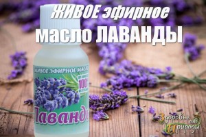 Эфирное масло лаванды